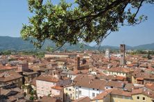 lucca skyline torre guinigi.jpg